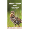 Pennsylvania Birds: A Folding Pocket Guide to Familiar Species - Paperback