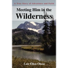Meeting Him in the Wilderness: A True Story of Adventure and Faith - Paperback