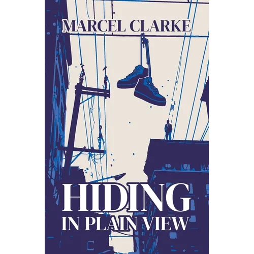 Hiding in Plain View - Paperback
