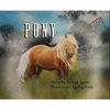 Pony - Hardcover