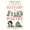 A Little History of Poetry - Hardcover