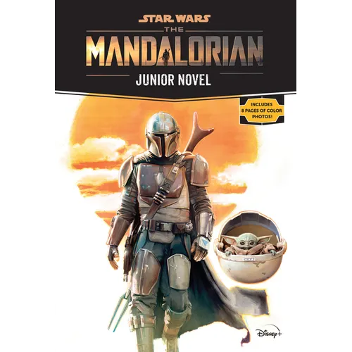Star Wars: The Mandalorian Junior Novel - Paperback