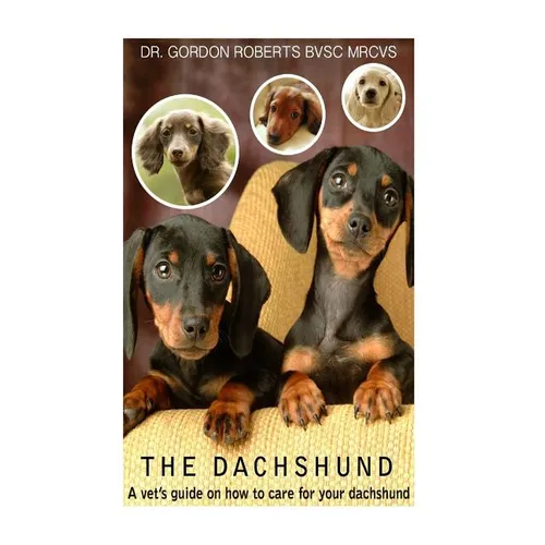 The Dachshund: A vet's guide on how to care for your Dachshund - Paperback