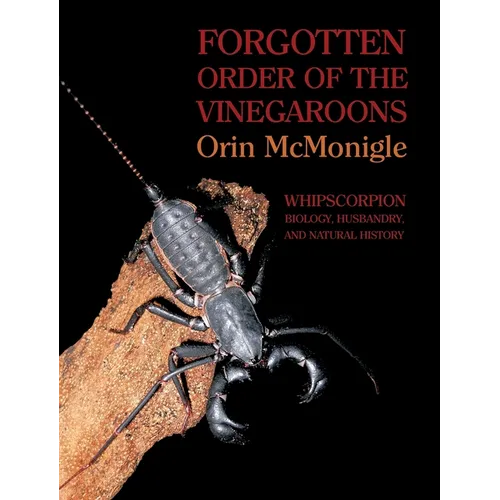 Forgotten Order of the Vinegaroons: Whipscorpion Biology, Husbandry, and Natural History - Hardcover