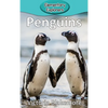 Penguins - Hardcover