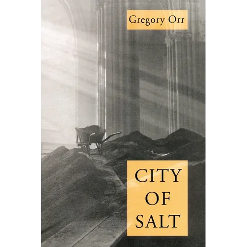 City Of Salt - Paperback