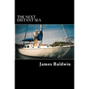 The Next Distant Sea: The 28-foot Sailboat Atom Continues Her Second Circumnavigation - Paperback