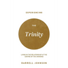 Experiencing the Trinity: Living in the Relationship at the Centre of the Universe - Paperback