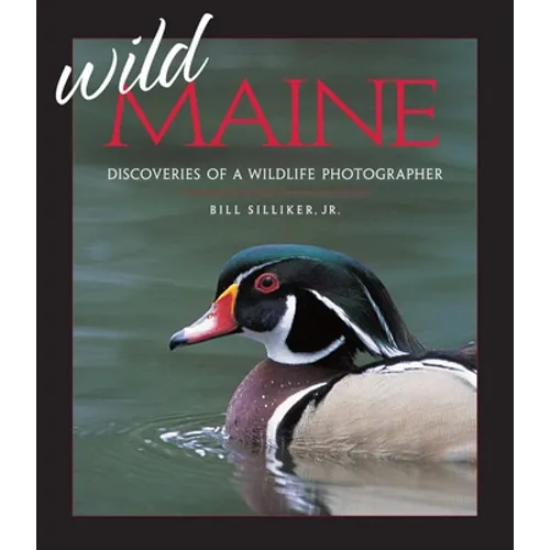 Wild Maine: Discoveries of a Wildlife Photographer - Paperback