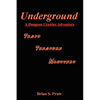 Underground: A Dungeon Crawler Adventure - Paperback