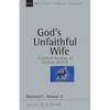 God's Unfaithful Wife: A Biblical Theology of Spiritual Adultery Volume 2 - Paperback