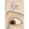 Eye: How It Works - Paperback