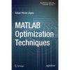 MATLAB Optimization Techniques - Paperback