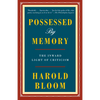 Possessed by Memory: The Inward Light of Criticism - Paperback