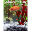 Aquarium Fish You Can Keep As Pets: A List Of Crazy, Exotic Fish To Keep As Pets - Paperback