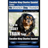 Cavalier King Charles Spaniel Training Dog Training with the No Brainer Dog Trainer We Make it THAT Easy!: How to EASILY TRAIN Your Cavalier King Char - Paperback