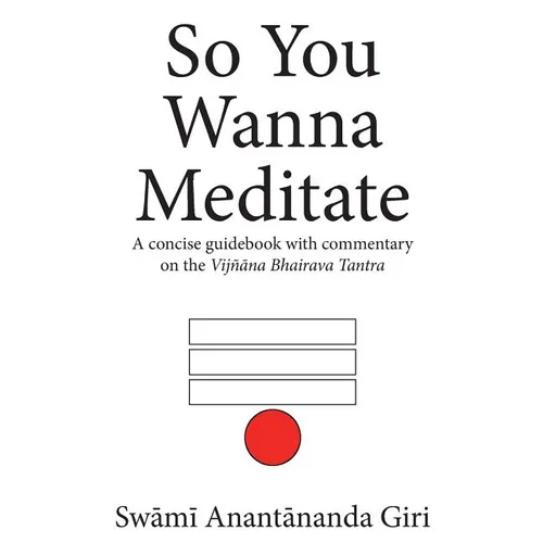 So You Wanna Meditate: A concise guidebook with commentary on the Vijnana Bhairava Tantra - Paperback