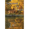Reflections In God's Great Outdoors - Paperback