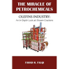 Miracle of Petrochemicals: Olefins Industry: An In-Depth Look at Steam-Crackers - Paperback