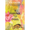 A Passage to India (Warbler Classics) - Paperback
