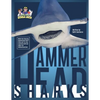 Hammerhead Sharks - Paperback
