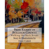 Brer Rabbit in Bulloch County: Walking the Back Roads - Paperback