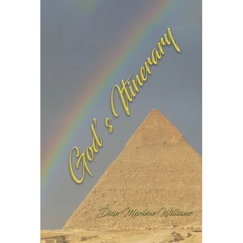 God's Itinerary - Paperback
