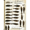 A Whaler's Dictionary - Paperback