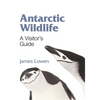 Antarctic Wildlife: A Visitor's Guide - Paperback
