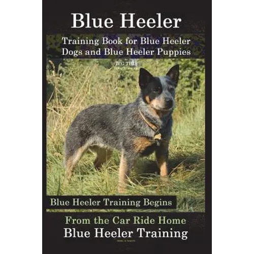 Blue Heeler Training Book for Blue Heeler Dogs and Blue Heeler Puppies By D!G THIS Dog Training: Blue Heeler Training Begins From the Car Ride Home Bl - Paperback