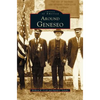 Around Geneseo - Hardcover