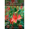 Wildflowers of Iowa Woodlands - Paperback