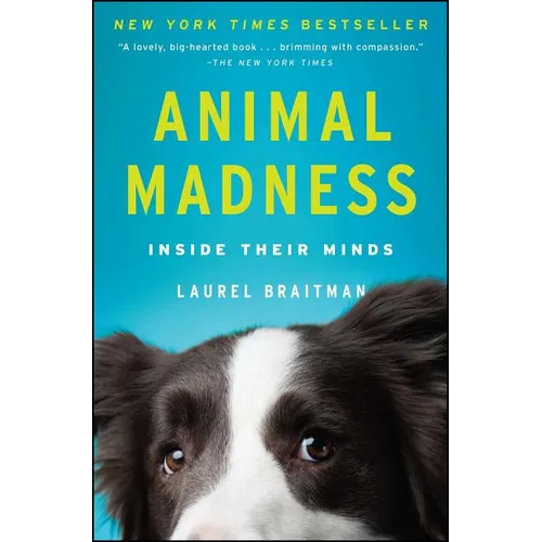 Animal Madness: Inside Their Minds - Paperback