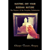 Dusting Off Your Buddha Nature: The Purpose of the Dzogchen Preliminaries - Paperback
