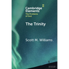 The Trinity - Paperback