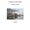 Cherry Blossoms at The Tidal Basin: Washington, D.C. Photos - Paperback