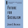 A Future for Socialism - Paperback
