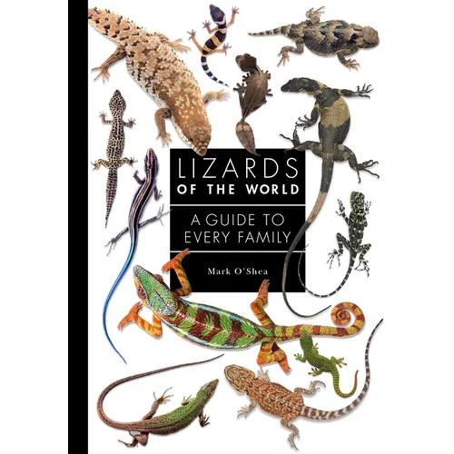 Lizards of the World: A Guide to Every Family - Hardcover