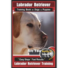 Labrador Retriever Training Book for Dogs & Puppies by BoneUP DOG Training: Are You Ready to Bone Up? Easy Steps * Fast Results Labrador Retriever Tra - Paperback