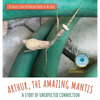 Arthur, The Amazing Mantis: A Story of Unexpected Connection - Hardcover