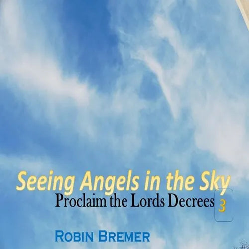 Seeing Angels in the Sky: Proclaim The Lords Decree - Paperback