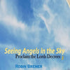 Seeing Angels in the Sky: Proclaim The Lords Decree - Paperback