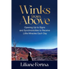 Winks from Above: Opening Up to Signs and Synchronicities to Receive Little Miracles Each Day - Paperback