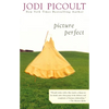 Picture Perfect - Paperback