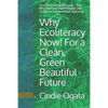 Why Ecoliteracy Now! For a Clean, Green Beautiful Future: Environmental Literacy - The Why Behind Place Based and Outdoor Experiential Learning - Paperback