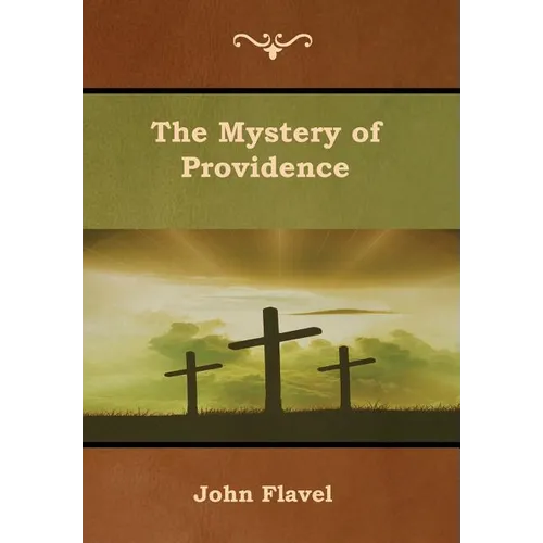 The Mystery of Providence - Hardcover
