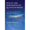 Spaces and Dimensions of Quantum Fields: A Conceptual Approach to Quantum Field Theory - Paperback