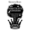 Substrate Kingdom: Exploring Where God's Kingdom and Pop Culture Meet - Paperback