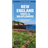 New England Trees & Wildflowers: A Folding Pocket Guide to Familiar Plants - Paperback