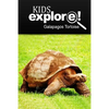 Galapagos Tortoise - Kids Explore: Animal books nonfiction - books ages 5-6 - Paperback